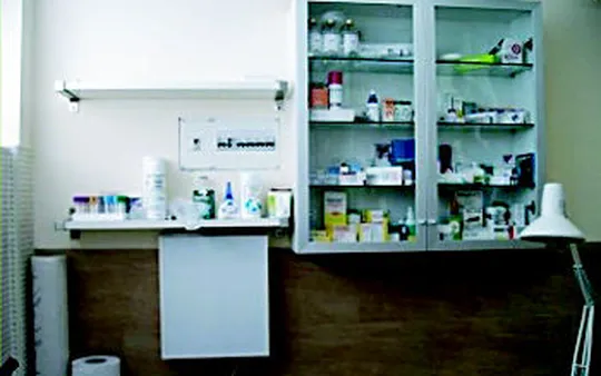 Imagen 4 de la galería