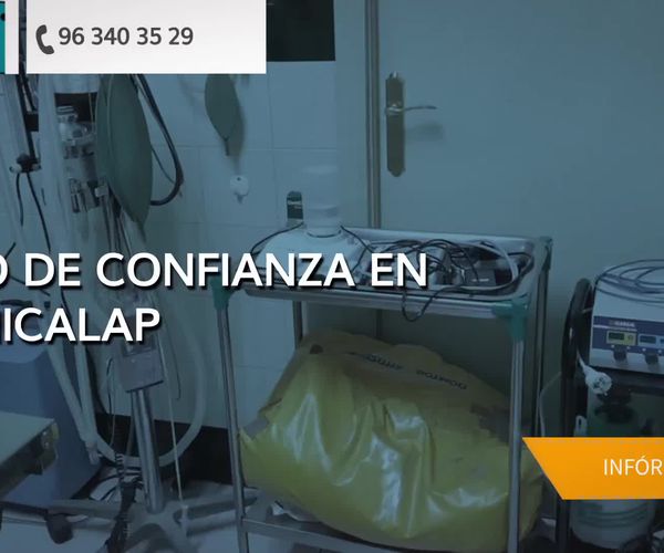 Veterinarios en Valencia | Clínica Benicalap