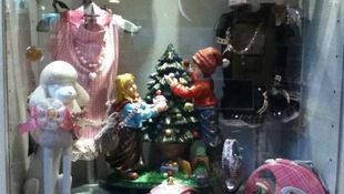 Imagen de Servicios - Moda y complementos para mascotas