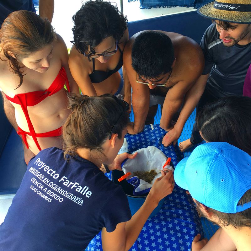 Science on board with Proyecto Farfalle: Services de Catamarán Marhaba