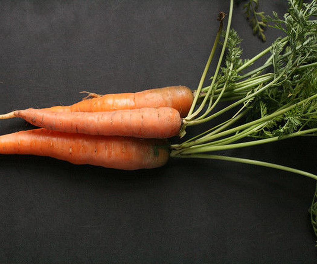 Las zanahorias, un alimento básico para embarazadas y niños