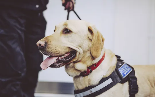 Imagen 6 de la galería