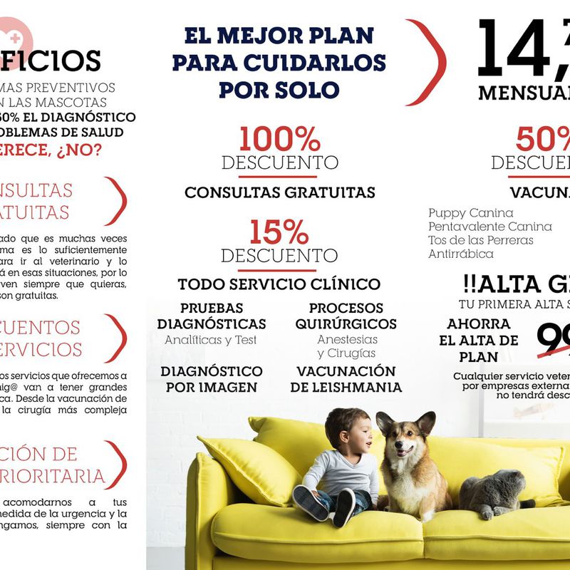 Plan de salud para tu mascota: Servicios de Clínica Veterinaria San Antón