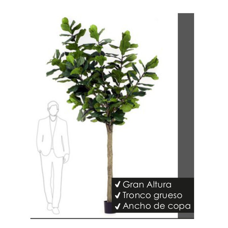 Árbol Ficus Lyrata Alto: ¿Qué hacemos? de Ches Pa, S.L.