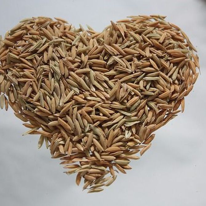 ¡Desmontamos los mitos sobre el arroz!