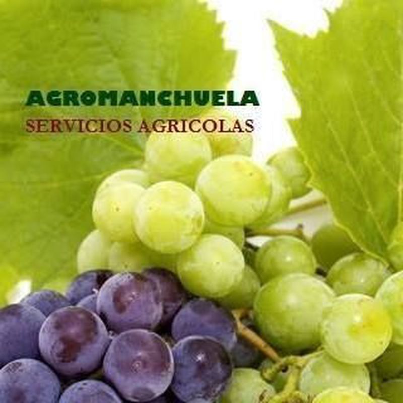 Servicios agrarios: Servicios de AGROManchuela
