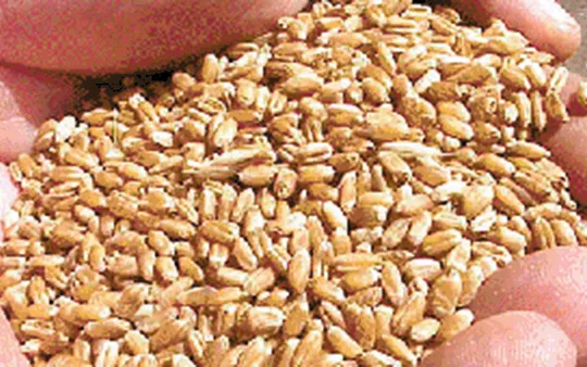 Imagen 1 de la galería