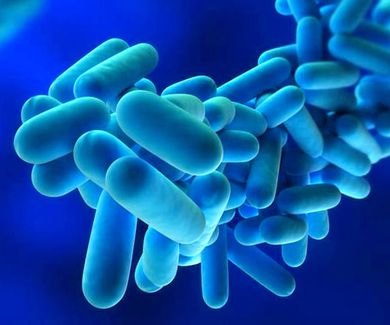 El XV Congreso de Salud Ambiental se centra en la prevención y control de la Legionella