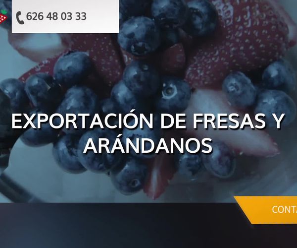 Frutas y hortalizas en Palos de la Frontera | Ernesto Rojas, S. L. U.