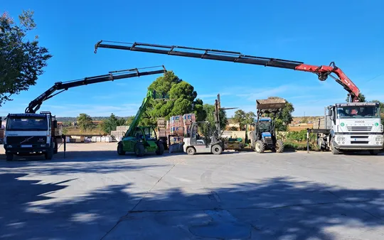 Imagen 3 de la galería