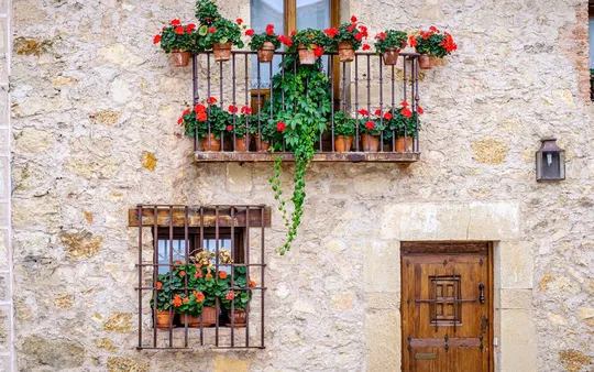 Imagen 5 de la galería