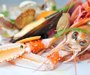 La magia del sabor en cada bocado: Cómo elegir pescados y mariscos congelados de alta calidad