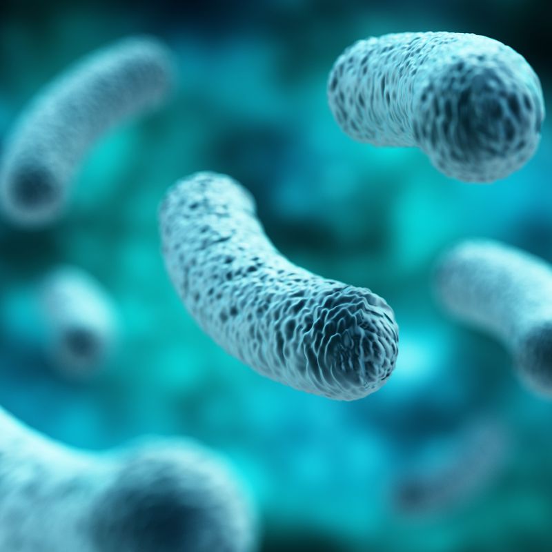 Desinfecciones: Servicios de Rivic Control de Plagas