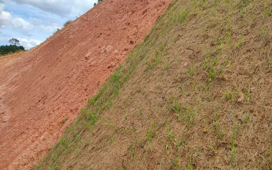 Estabilidad de taludes