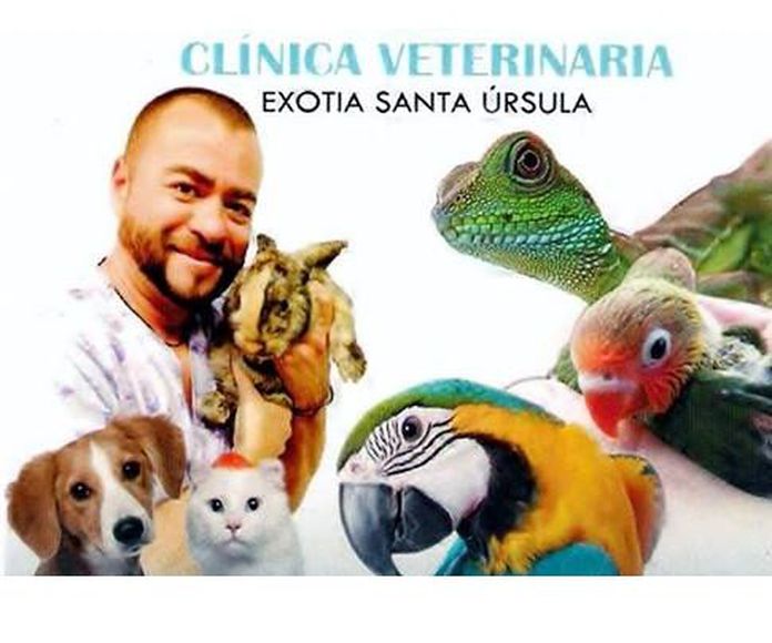 Profesionalidad: Servicios de Clinica Veterinaria Exotia Santa Ursula