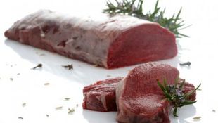 Imagen de Productos - Caza