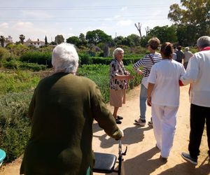 Actividades culturales