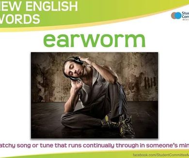 Word of the day: Earworm