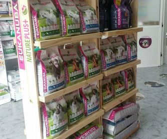 Veterinaria: Servicios de Qué Perro!! Arrecife