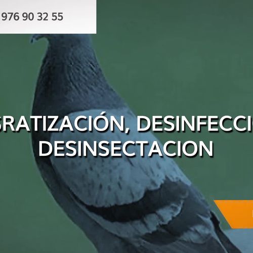 Empresas de desinfección en Zaragoza