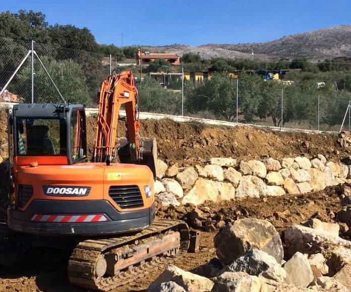 Movimientos de tierra: Servicios de Excavaciones Hnos. El Busca