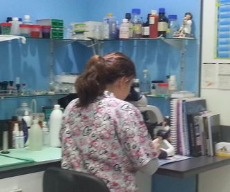 Vacunación y desparasitación: Servicios de Clínica Veterinaria Ricardo Díez Reyero