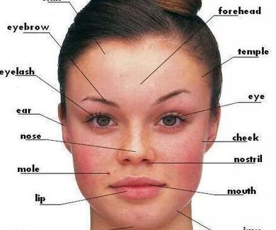 Vocabulary: the face