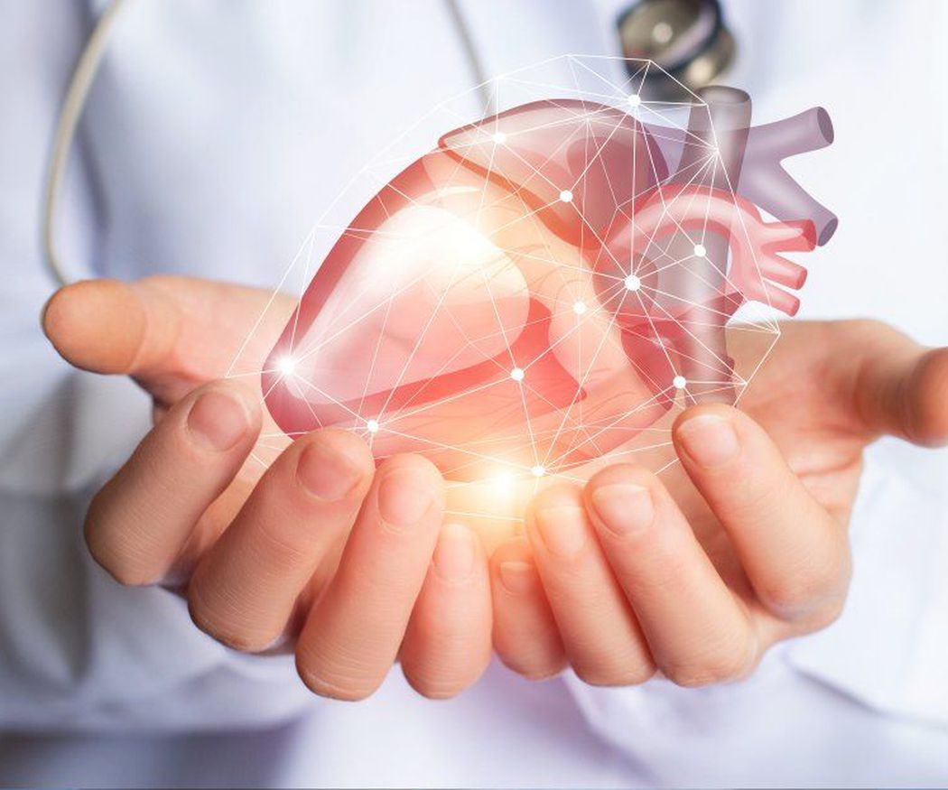 El papel del cardiólogo en la prevención de enfermedades cardiovasculares