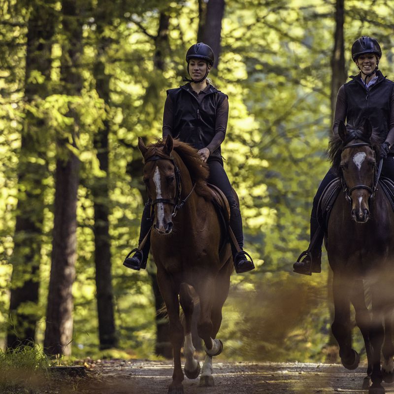 Rutas y Paseos a Caballo: Servicios de El Salobre Horse Riding
