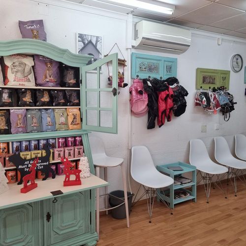 Veterinario para gatos en Calpe