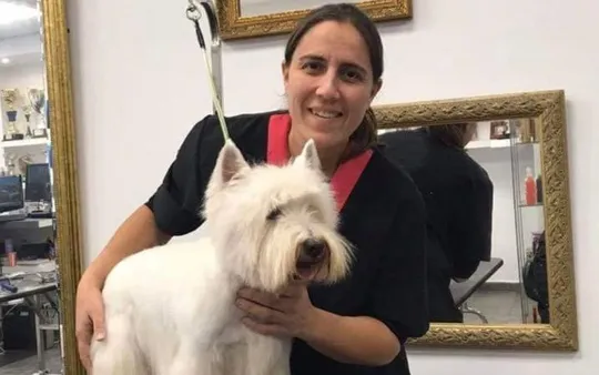 Imagen 5 de la galería