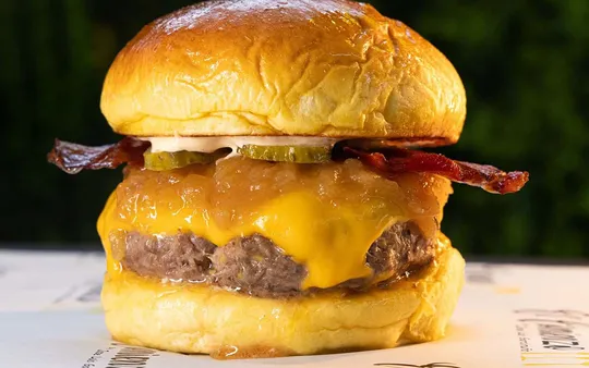 Imagen 6 de la galería