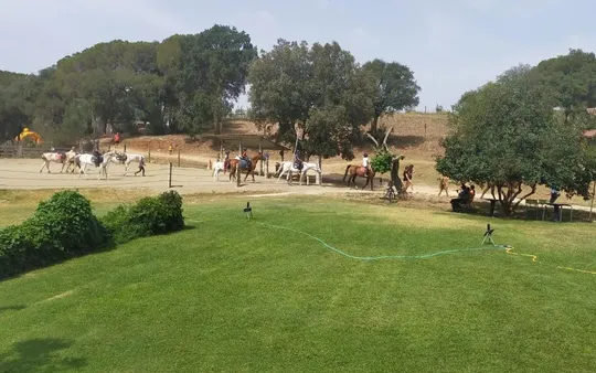 Imagen 4 de la galería