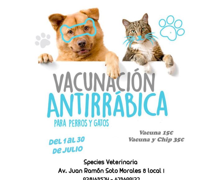 Vacunación antirrábica