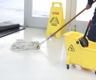 Limpieza de locales y oficinas: Servicios de limpieza de César Llamosas Calderón