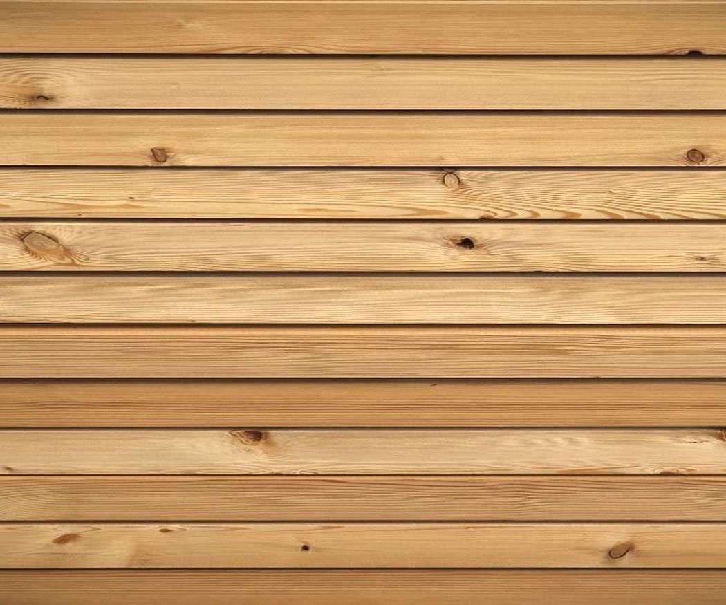 Las maderas más resistentes a la carcoma