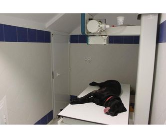 Peluquería canina y felina: Servicios de Clínica Veterinaria Fábula