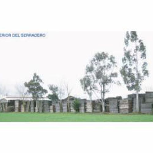 Estructura de madera en Ourense | Maderas Rodríguez Dabouza, S.L.