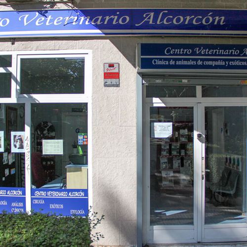 Centro veterinario en Alcorcón