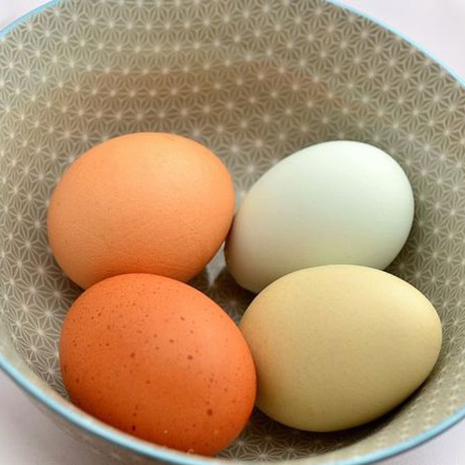 Beneficios del huevo para tu salud