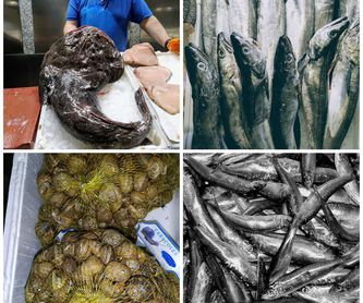 Servicio a domicilio para particulares, hostelería y colectividades: Pescados y mariscos de Pescadería Manuel Santos