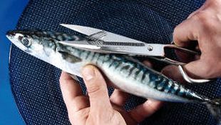 Imagen de Catálogo - Tijeras