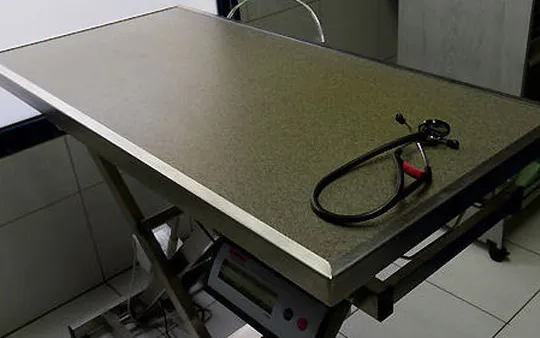 Centro Veterinario Isla Mascoa, Huelva