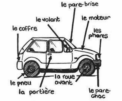 Partes de un coche en francés para hoy.