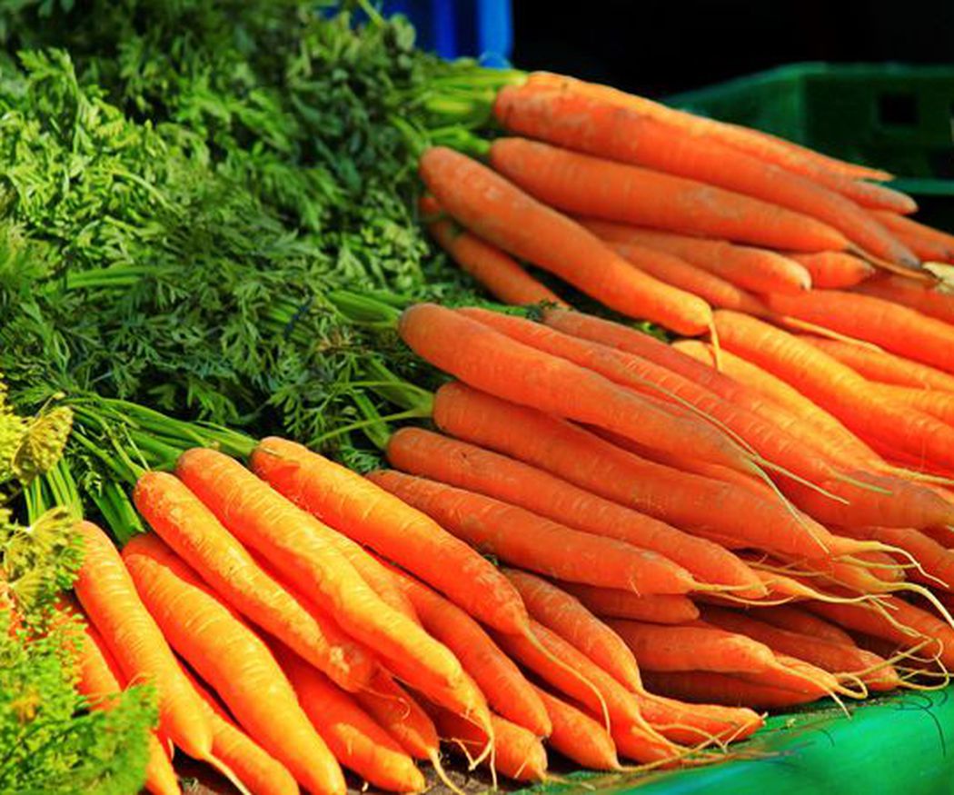 Zanahorias contra el cáncer