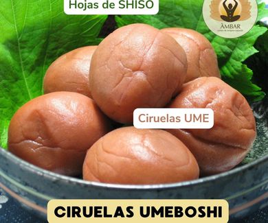 CIRUELAS UMEBOSHI