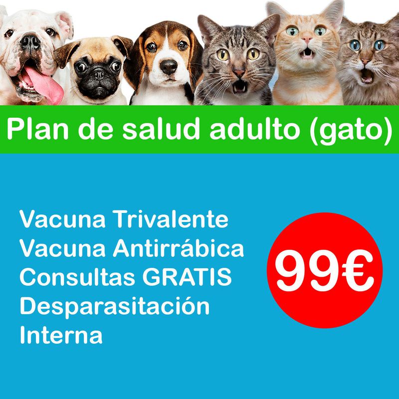 Plan de salud anual (gatos):  de Punto Pet Clínica Veterinaria