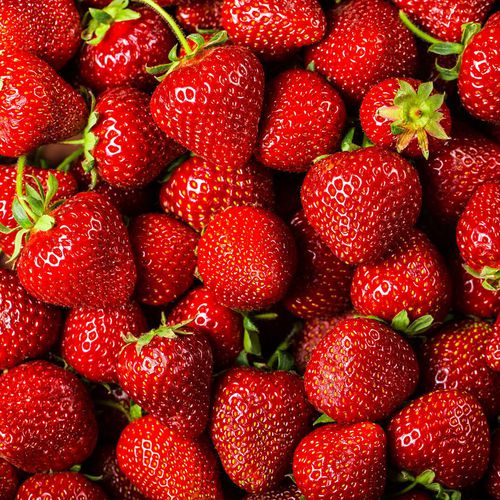 Productos agrícolas en  | CAMPRES PRODUCTORES, S.L.
