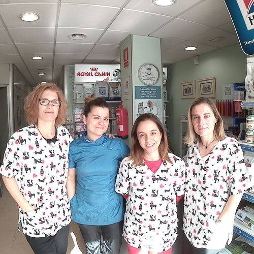 Medicina interna veterinaria en Mataró