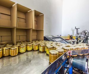Envasado de miel y polen en Extremadura